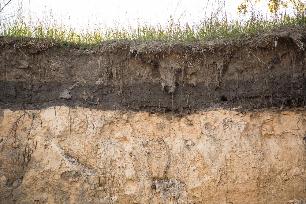 How Soil Can Affect Your Foundation in Corpus Christi | Streem ...